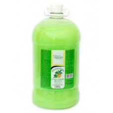 Sabonete Liquido Folha Nativa 2lt Lima Limao Menta