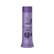 Haskell Shampoo Ametista Desamarelador 300ml